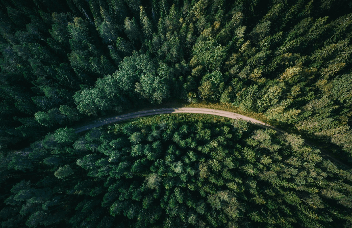 Why accounting firms are the secret key to ESG success and how they can lead the way logo