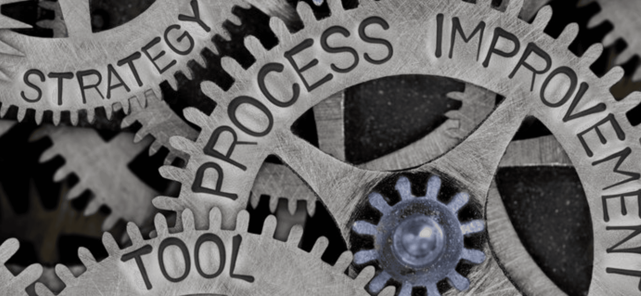 nettTracker version 2 - progress and expected time lines logo